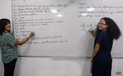 profesora-y-alumna-en-pizarra-instituto-ival